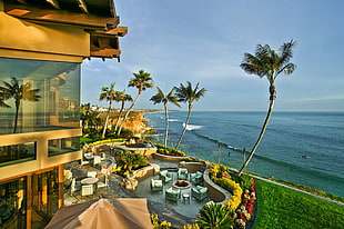 commercial building near beach seaside with coconut trees under daytime